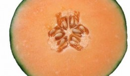 网红蜜瓜 孕妇可以吃吗,孕妇食用指南与注意事项